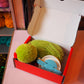 Olive Pom Pom DIY Kit
